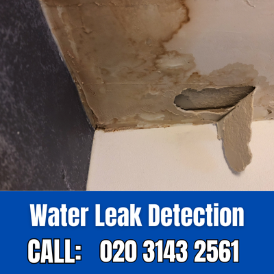 Expert Water Leak Detection Services in West Ealing | West Ealing Leak Detection